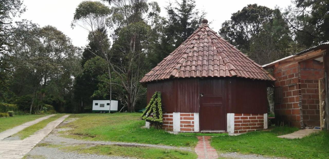 Al Bosque Hostel & Glamping 圣埃伦娜 外观 照片