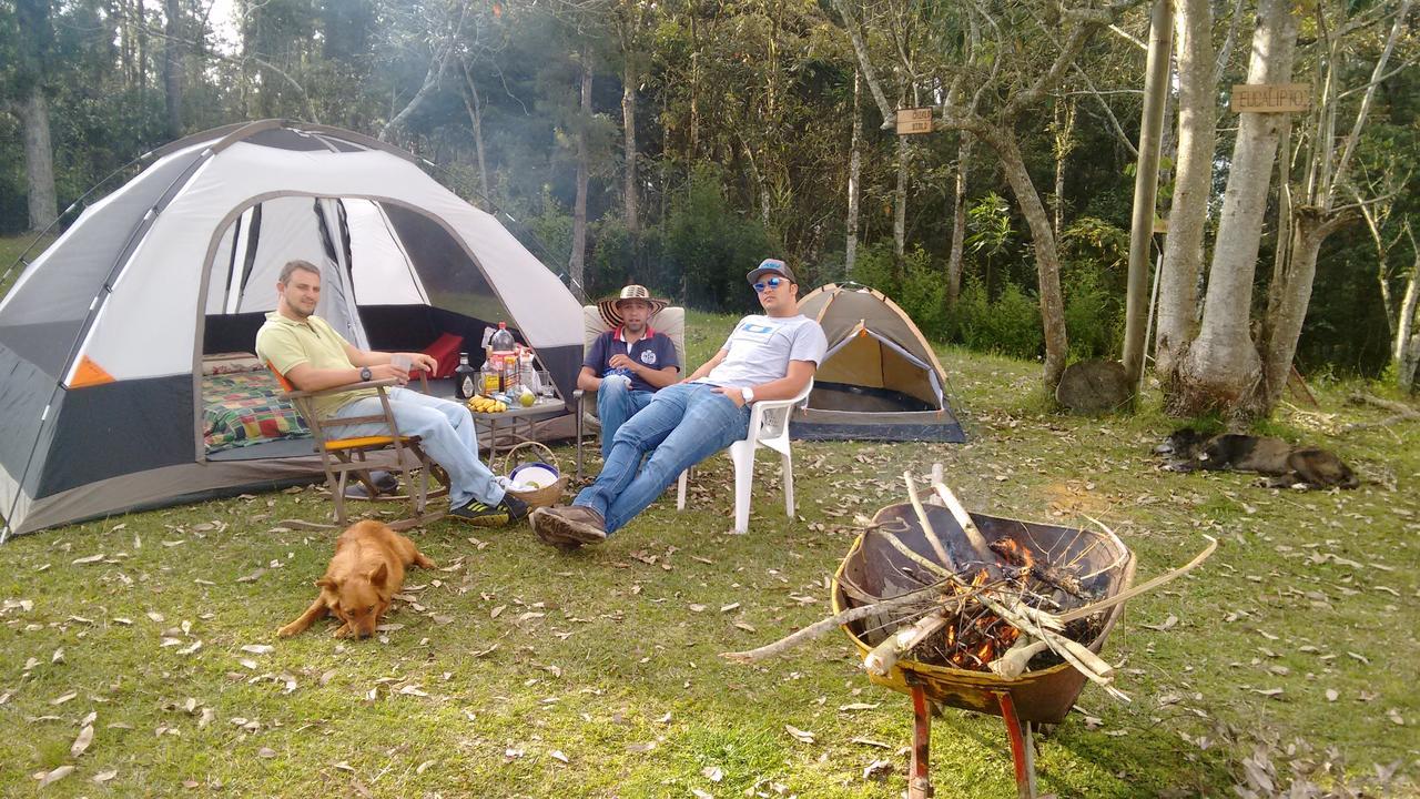 Al Bosque Hostel & Glamping 圣埃伦娜 外观 照片