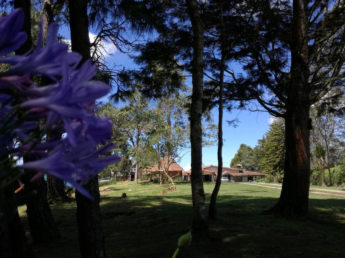 Al Bosque Hostel & Glamping 圣埃伦娜 外观 照片