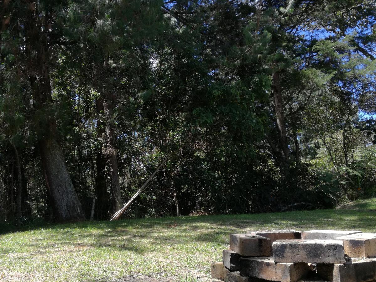 Al Bosque Hostel & Glamping 圣埃伦娜 外观 照片