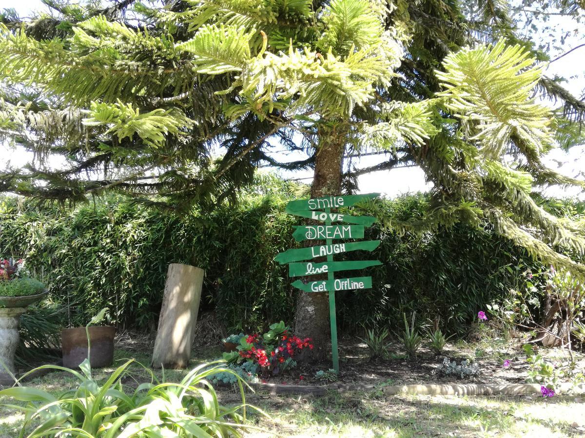 Al Bosque Hostel & Glamping 圣埃伦娜 外观 照片