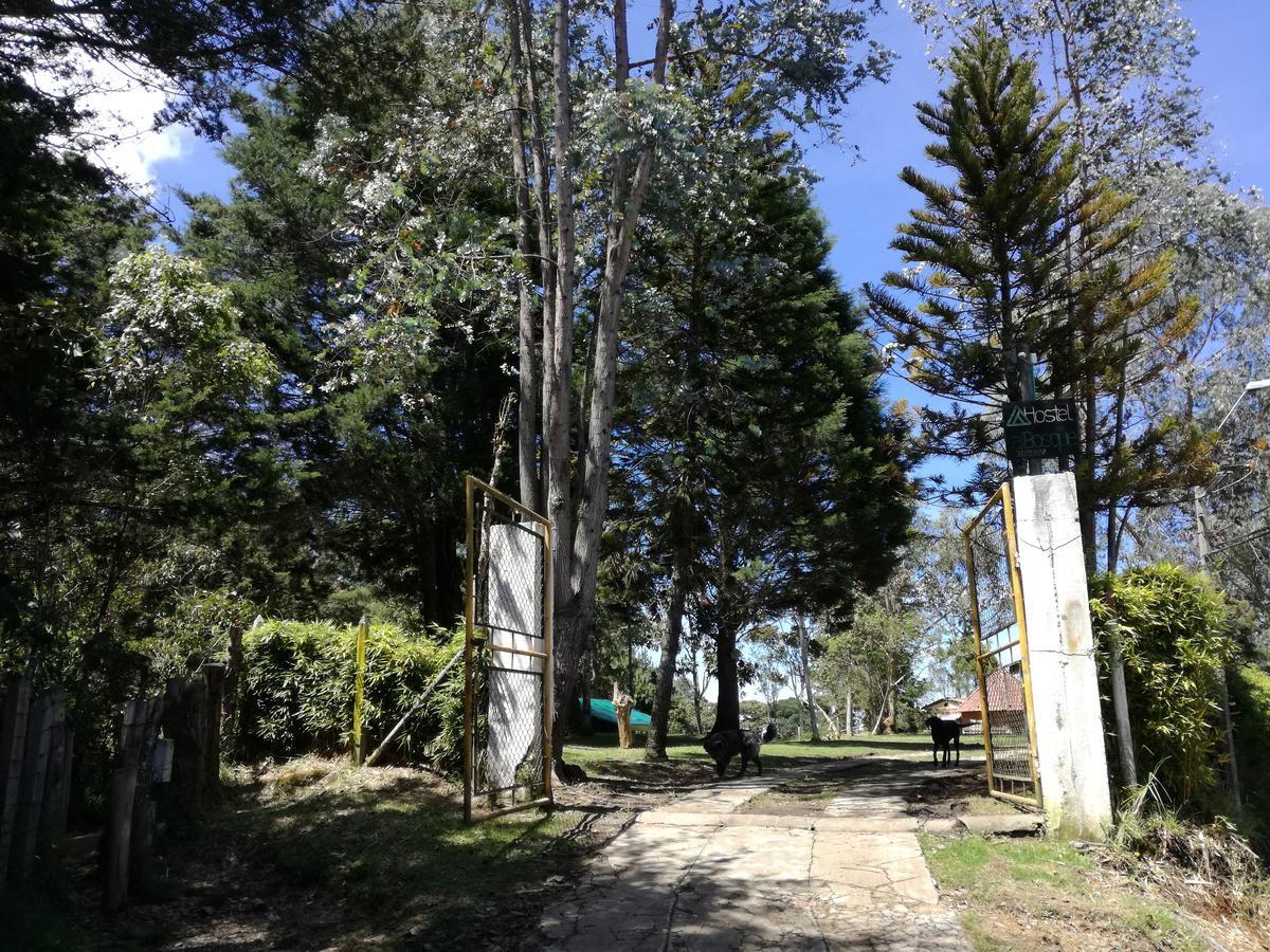 Al Bosque Hostel & Glamping 圣埃伦娜 外观 照片
