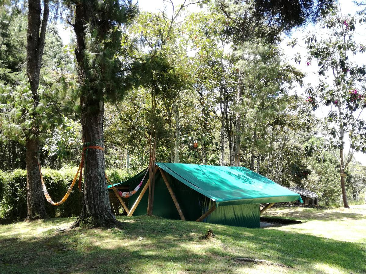 Al Bosque Hostel & Glamping 圣埃伦娜 外观 照片