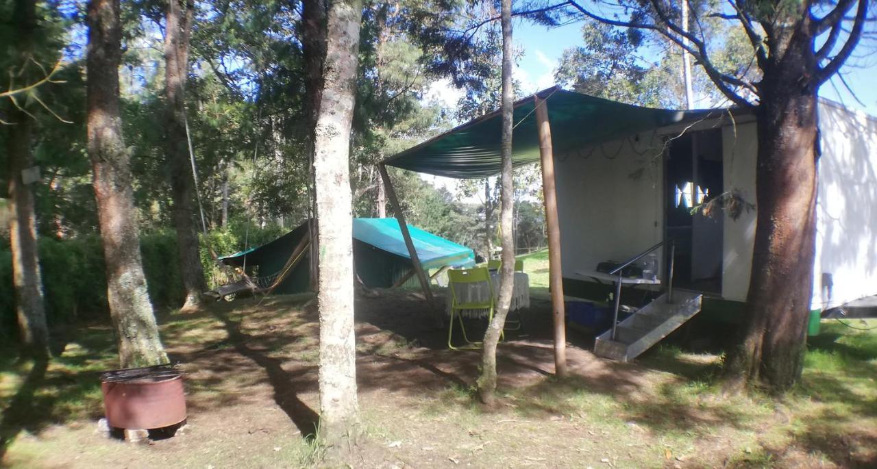 Al Bosque Hostel & Glamping 圣埃伦娜 外观 照片