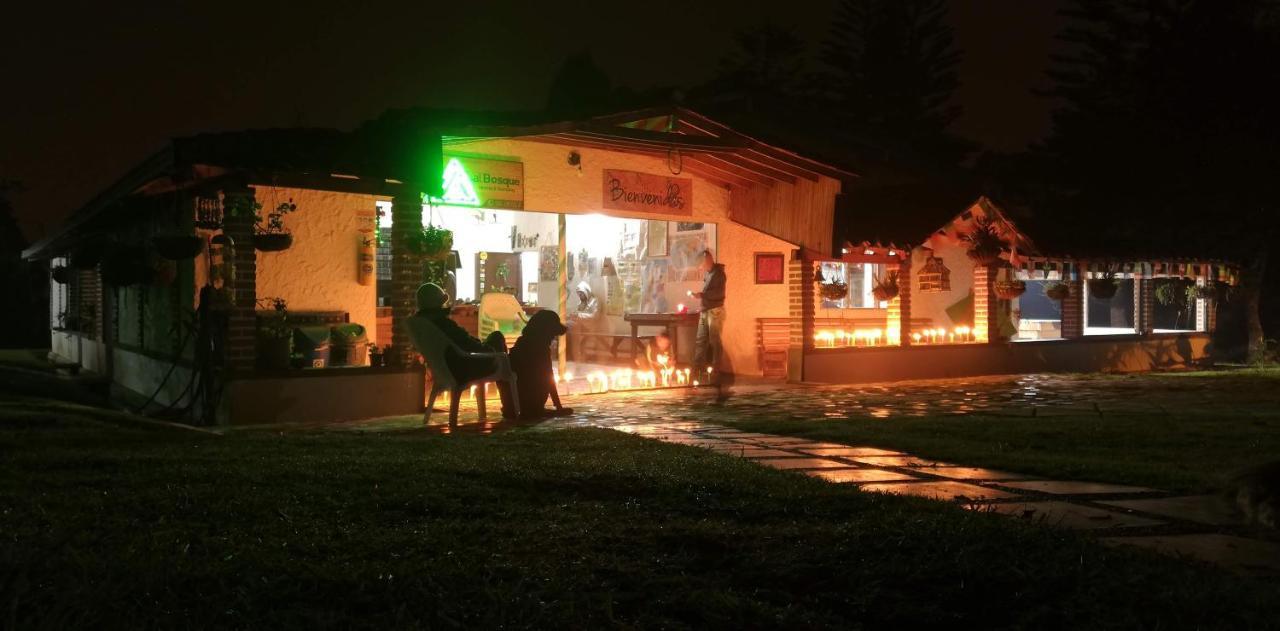 Al Bosque Hostel & Glamping 圣埃伦娜 外观 照片