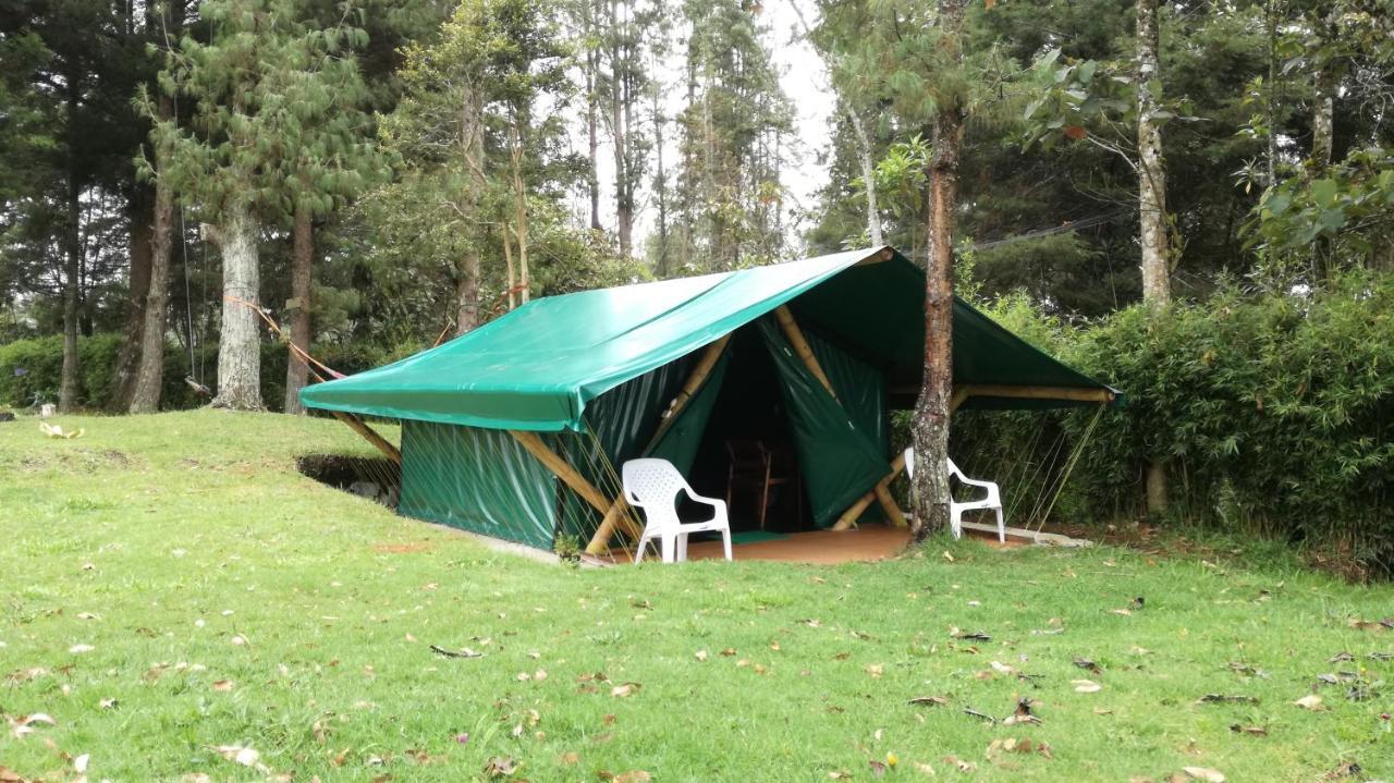 Al Bosque Hostel & Glamping 圣埃伦娜 外观 照片